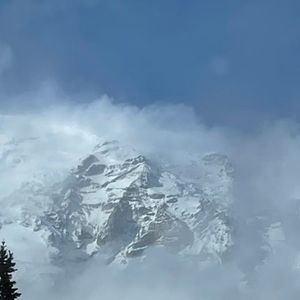 Meet your Posher, Bobalma